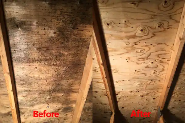 water damage restoration service Greeley Center